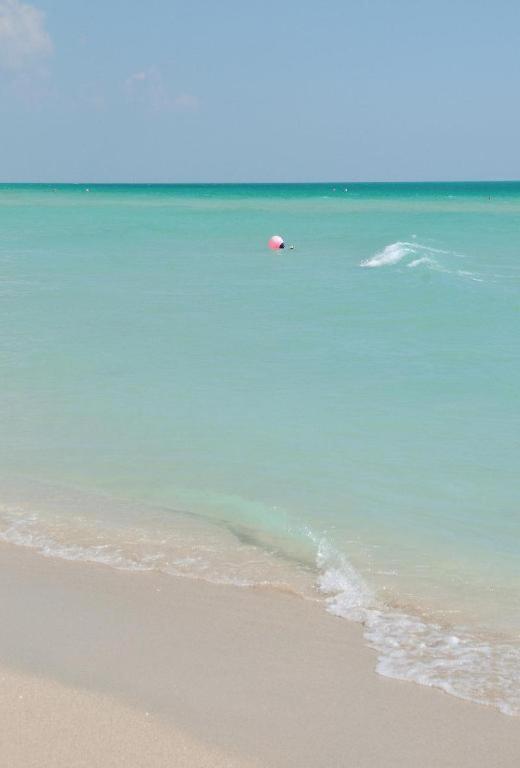 Como Metropolitan Miami Beach Dış mekan fotoğraf